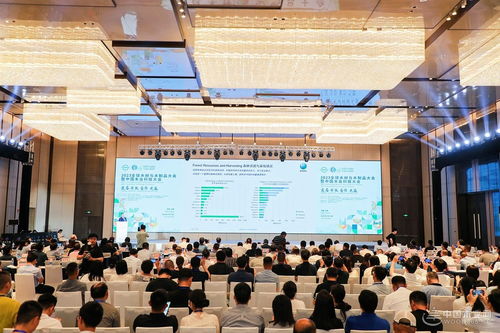 好板迎亞運(yùn) 綠色工廠行 千年舟集團(tuán)日照工廠品質(zhì)之旅即將啟幕，共筑運(yùn)動(dòng)項(xiàng)目經(jīng)營(yíng)新篇章