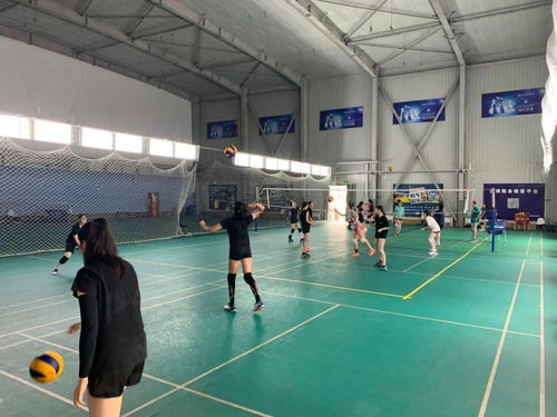 豐臺(tái)區(qū)青少年運(yùn)動(dòng)隊(duì)暑期集訓(xùn)圓滿收官，項(xiàng)目經(jīng)營(yíng)助力體育人才儲(chǔ)備