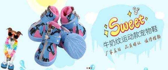 廣州市寵陽寵物用品與本公司正式簽署網(wǎng)站項(xiàng)目合作，開啟運(yùn)動(dòng)項(xiàng)目經(jīng)營新篇章